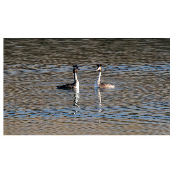 PHOTO84, CLUB, 84 , LUBERON